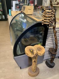 براد كيك • تركي • كربلاء