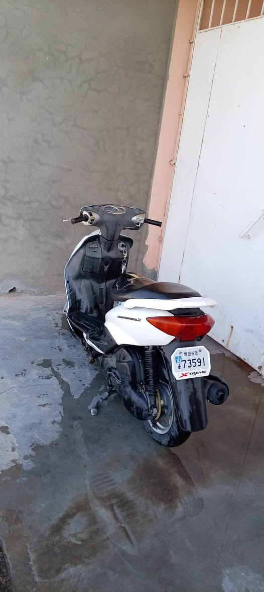 سكنس سرعه 110 وضع شركه فقط بي نقص تريشتين مال صفح والباقي كلو شرط محرك سلف دشبول اشاير كلو شغال وشرط وضع شركه مكاني برطله يرهم مراوس حسب قناعه فورزه ماكس عدل نزله صورته السعر بيع 575 وبي شوي مجال للتواصل *********** //***********
