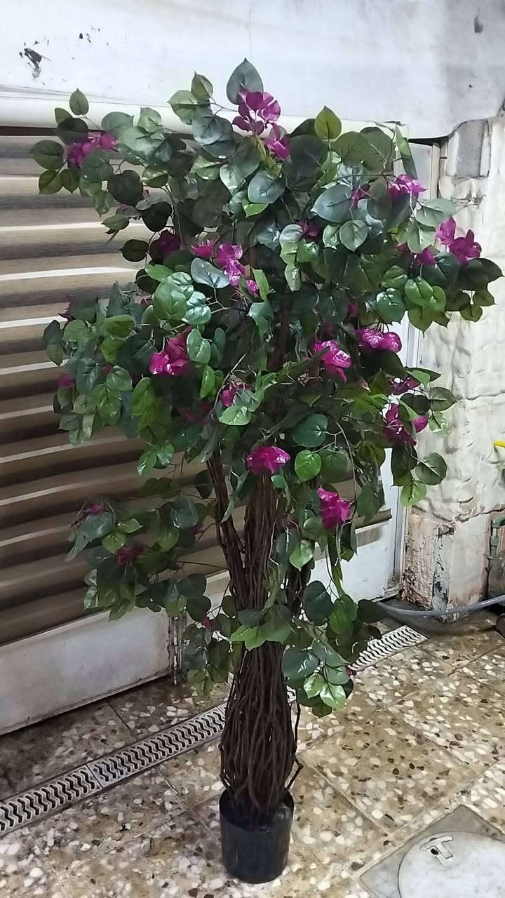 ميز 125 بيه مجال بسيط شجره 25 بردات وحده 20 سلايت


**إذا كنت صاحب هذا الإعلان وتريد حذفه لأي سبب، رجاءا أرسل رسالة إلى الدعم الفني**