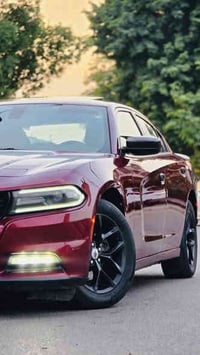 مكلف بالبيع جارجر SXT PLUS كلين تايتل موديل 2018 لون كرزي مميز  رقم ار...