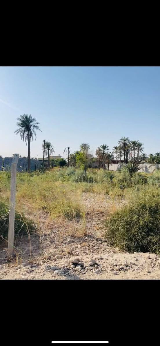 السلام عليكم نص دونم طابو للبيع خلف مدرسه  الواثق ام العيش الواجهه 27ونص الشارع 10متر خدمات ماء كهرباء السعر 130للاستفسار ***********
