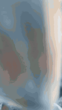 سلام عليكم سكنس للبيع فحل كابريتر دراجة مال رمبه وجناي مضمومه دراجه دراجة جديده كلش ونضيفه ومختمه ختم واحد بلاديه ومكينه بل ملح بعده دراجه مملعوب بيه ابد وتجي تفحص وجيب فيتريه وياك وفحص وجيك دراجه كفاله عامه من كلشي  وهاي صور موجوده ونضافته كدامكم 
مكان الدراجة بغداد الدورة شارع 60
ممتواجد عل فيس
رقم ***********
سعر 950وبيه مجال
