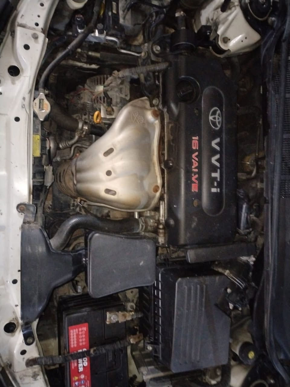 السلام عليكم
كامري 2009 خليجي

رقم بغداد  جديد انكليزي. تحويل مباشر ثاني يوم 

سنويه جديده

تبريد قطعتين 

تحكم ستيرن

فتحة سلايت 

داخلها صاج 

 كأمره خلفيه

برده خلفيه بلادي

حجم محرك المرغوب 2400

السياره مصبوغه حزام

مكان السياره تكريت القادسية 

السعر  106 وبيها مجال 

رقم الاتصال  ***********
