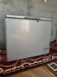 مجمدة فول • نضيفة • فريز خارجي