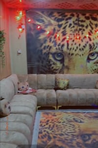 ١٠ مقاعد • البياع • بغداد