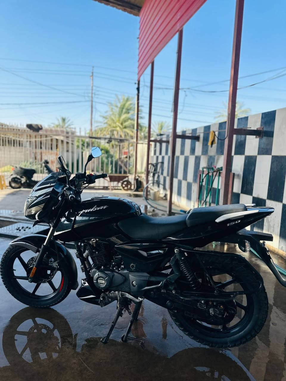 Bajaj Pulsar 150cc للبيع دراجة
موديل 2022
Bajaj Pulsar :النوع
سعة المحرك: 150cc
اللون: أسود
الأوراق: أصلية كامله من كمرك وشركه Bajaj بس تروح ترقم السعر المطلوب: 1,250,000 دينار
السعر قابل للتفاوض للجادين فقط
الموقع: بغداد الراشديه

التواصل***********

