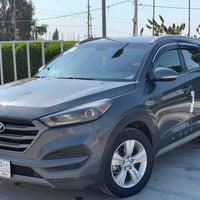 توسان • وارد أمريكي • خشم قدامي