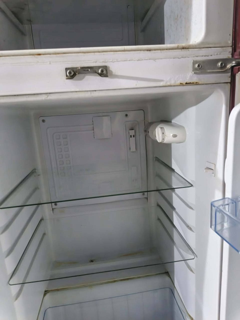 ثلاجه شرط الشغل والفحص عنوان شهربان السعر 100 وبي مجال بسيط الشراي يراسلني خاص


**إذا كنت صاحب هذا الإعلان وتريد حذفه لأي سبب، رجاءا أرسل رسالة إلى الدعم الفني**