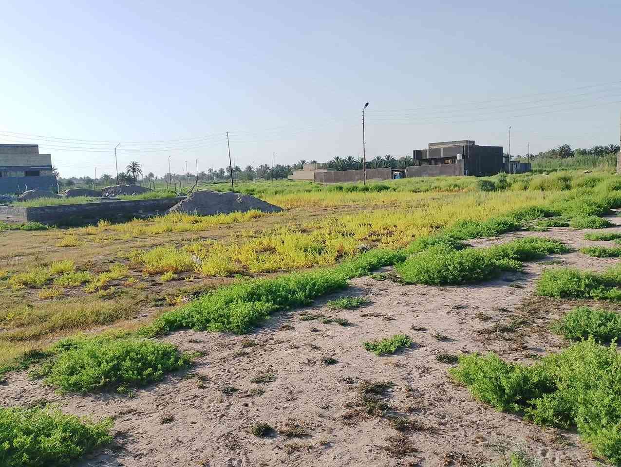 السلام عليكم من رخصت الادمن ///  للبيع قطعة ارض طابو زراعي سند 25 ركن المساحه 280 م  نهاية العلگايه  السعر 18 مليون وبيه مجال للاستفسار اتصال ع الرقم // ***********
