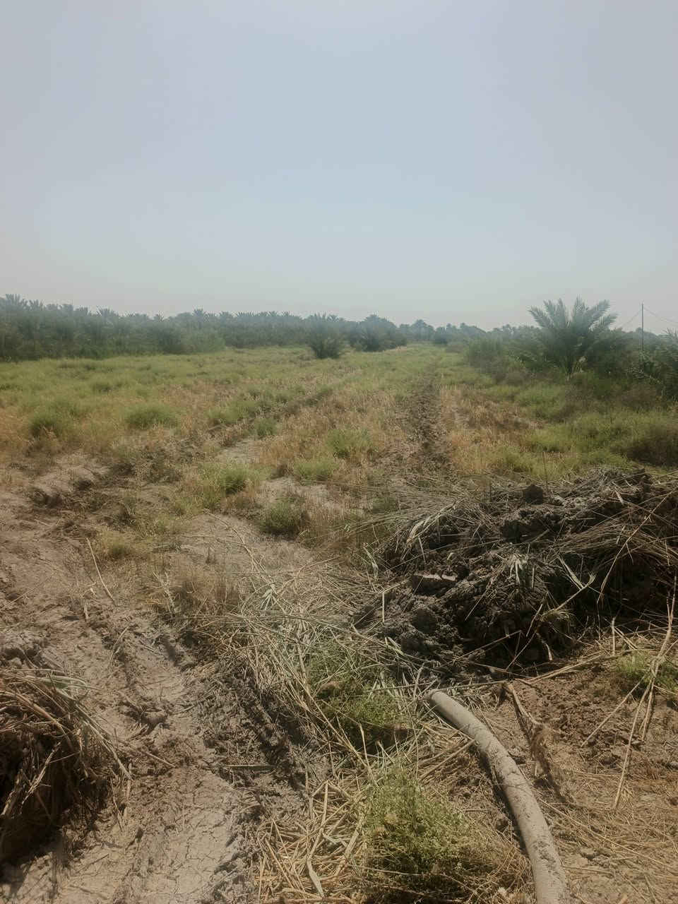 سلام عليكم يوجد 3دونم لبيع طابو زراعي سند 25 الوجه 40متر واجهيه عله بزل صايره
قرب السيده شريفة ع كافه الخدمات متوفره عن الشارع 50متر بشارع مزرعه النخيل بسعر مناسب استفسار اتصال ***********              ***********
