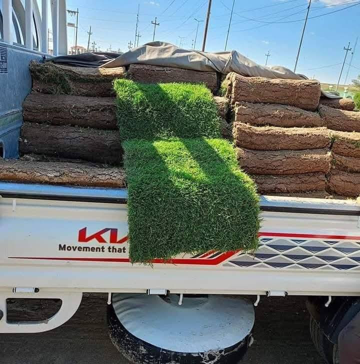 تم وصول وجبه جديده من الاشجار الموسميه والدائمبه والثيل وبأنسب الاسعار مع توفر خدمة تول مجاني داخل ال بدير


**إذا كنت صاحب هذا الإعلان وتريد حذفه لأي سبب، رجاءا أرسل رسالة إلى الدعم الفني**