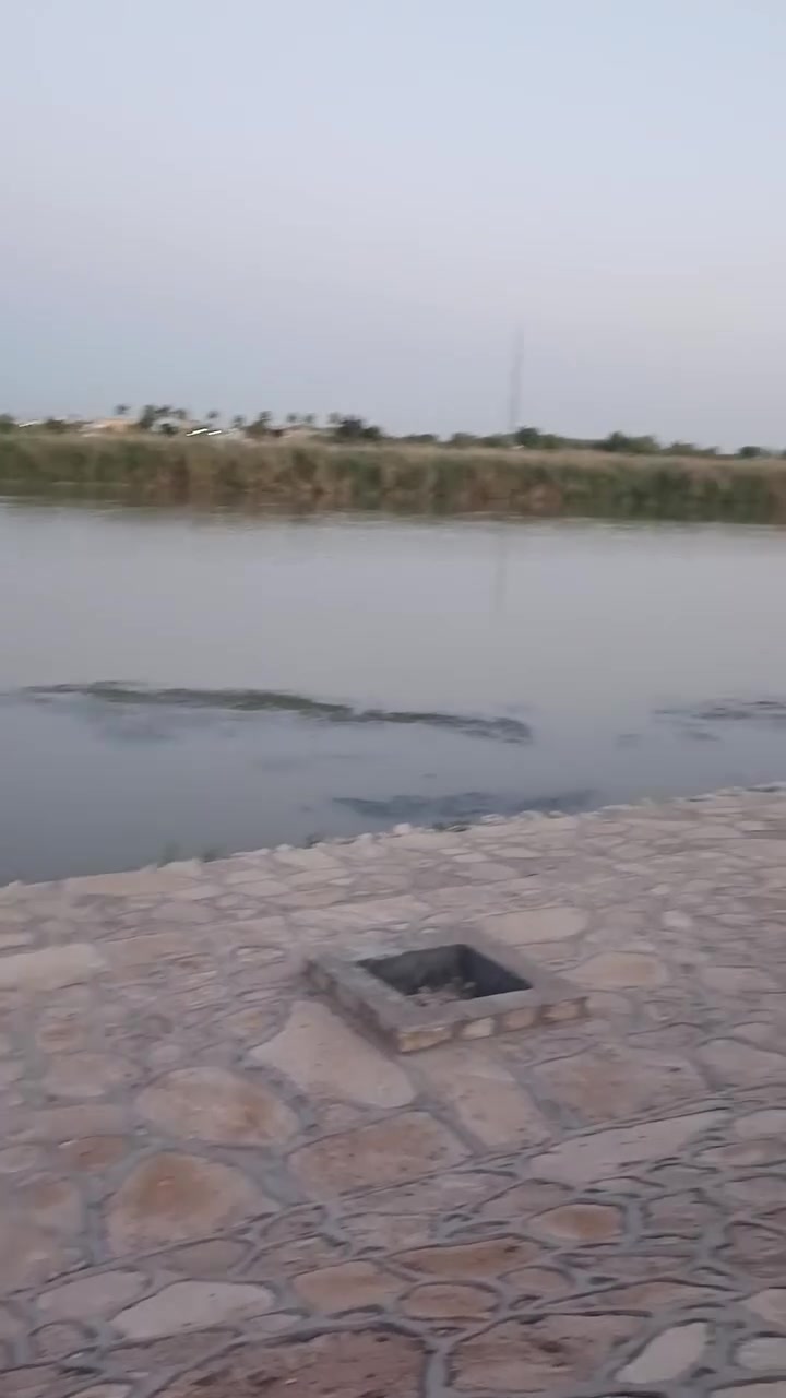 سلام عليكم ارض مزرعه لبيع في الانبار الفلوجه منطقه النعيميه  علي شط مباشر تبليط واصله تبعد عن شارع العام 200متر  كامله مساحه دونمين  تنباع دونم او دونمين ماكو مشكله نزال 165  كاع حلوه ومقلفه حجر  وسياج  مثل ما واضحه كدامكم رقم الهاتف ‏‪***********‬‏
