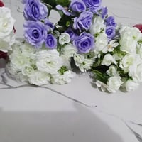 شلعة ورد • جديد • تصفية