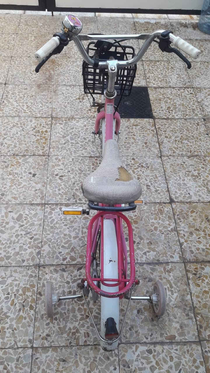 بايسكل بآلة مال شحن حجم ١٦ 
استخدام شخصي نظيف نوع رينو
السعر ٦٠ وبيه مجال
حي الوحدة قرب المجسر 
للتواصل على الخاص 
أو 
الاتصال ***********
