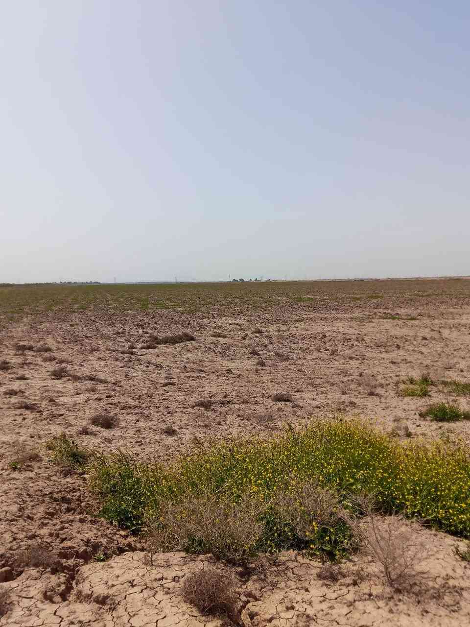 السلام عليكم ورحمة الله 

يوجد أرض طابو  زراعي (200 دونم) حق التصرف

واسط الحفرية قرب تاج الدين 

الاستفسار اكثر مراجعه مكتب عمار احمد 

العنوان واسط العزيزيه شارع الخليج مجاور علي الماس 

*********** /***********
