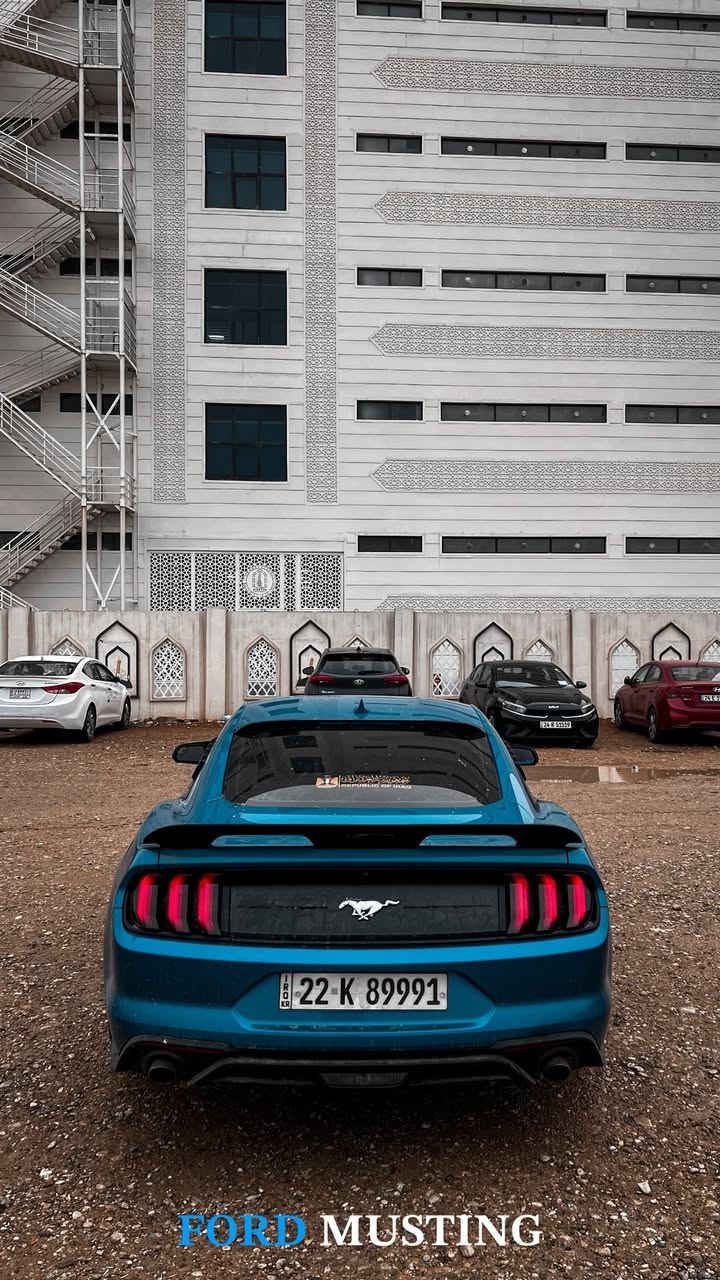 موستنك ايكو 2021
اربع قطع 
ماشيه 39الف ميل
مكان السياره الموصل 
***********واتساب اي استفسار
