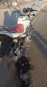 سلام عليكم من رخصه الادمن دراجه نوع هيوش 2017
دراجه نضيفه كل نقص مابيها كهربائيات كلها شغاله بصمه تشغيل عن بعد لايت عالي ناصي محركها نضيف السعر675 للاستفسار ***********  عنوان الدراجه الرمادي تاميم
