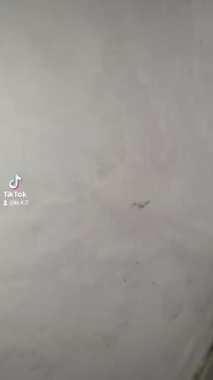 للديكور الحديثه 
مستعدون لكافة اعمال الديكور جبس مبورد بورتكس فوم انواع الصباغ الخارجية ولداخليه سحب بورك بديل خشب بديل رخام
العنوان نجف 
***********
