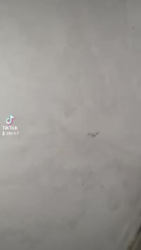 النجف • ديكور حديث • جبس ومبورد