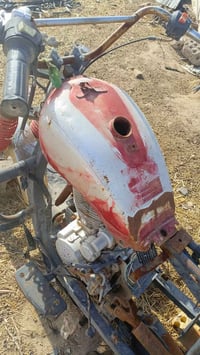 ستوته • اوراق راعية • كربلا