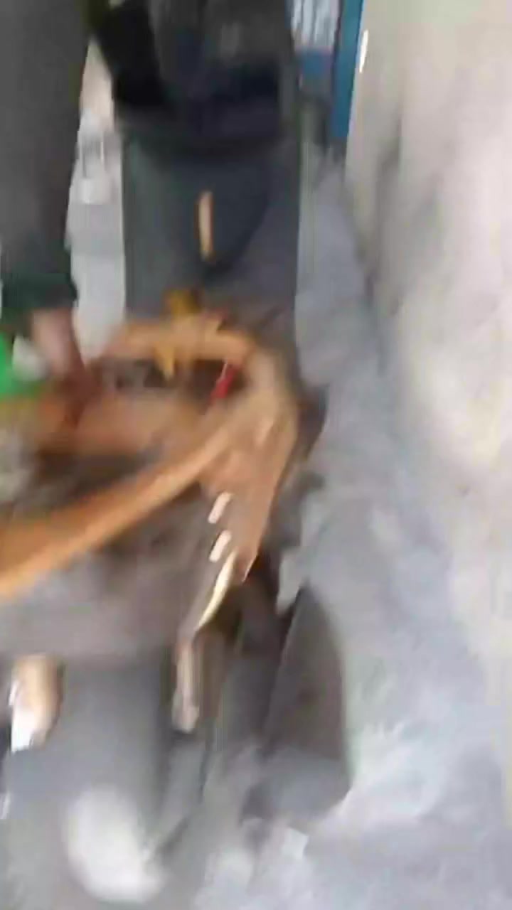 سلام عليكم شباب
ماكس عدله مال لعب  دراجه  رياضي  قطره رياضي صالنصه رياضي دراجه قويه  فيك  تعمير  جديد تعمير جديد

مكان بغداد مدينه الصدر
***********  
السعر  550وبيه مجال تحياتي الادمن 🩵❤️

