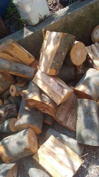 حطب • شوي • طبخ