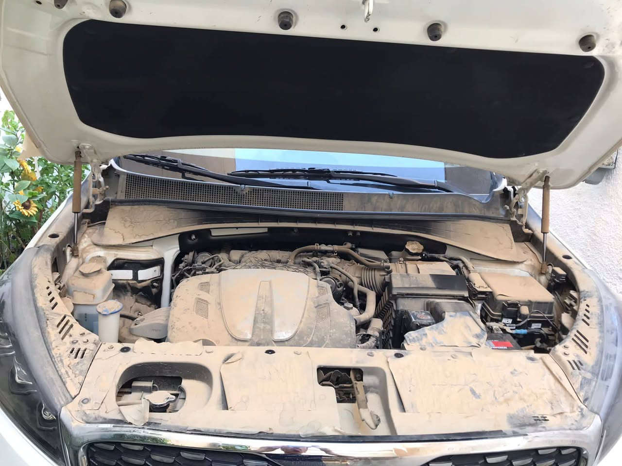 سورنتو ٢٠ خليجي رقم بغداد مشروع وطني  السيارة زيرو مكفوله كفاله عامه من كلشي وعلى الفحص المواصفات من ضمن الصور 
تلفون ***********
مكان السيارة بغداد
