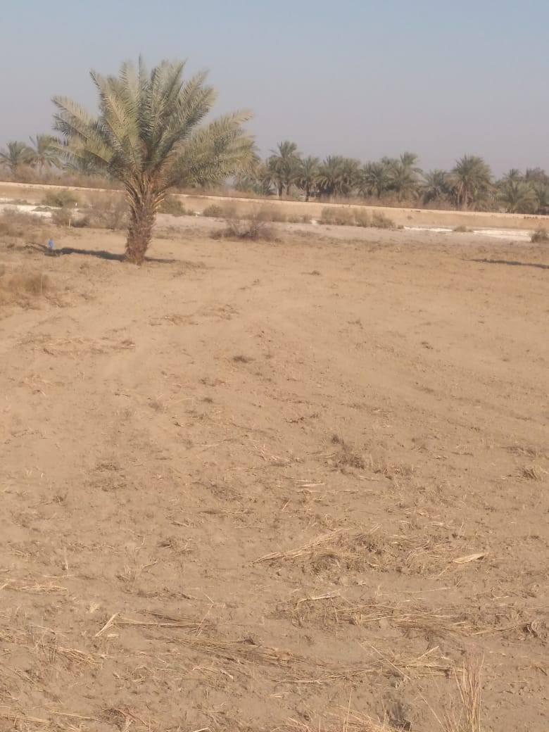 اللهم صلي على محمد وآل محمد 
السلام عليكم قطعة أرض للبيع  زراعيه طابو زراعي سند ٢٥ 
المساحه (٣ دونم و٣٠٠ متر ) تحتوي على نهر ماء للسقي محاذي للقطعه تقع خلف منطقة العوفي تبعد عن شارع سده محاويل حوالي ٧٥٠ متر للإستفسار اكثر لاتصال ***********
