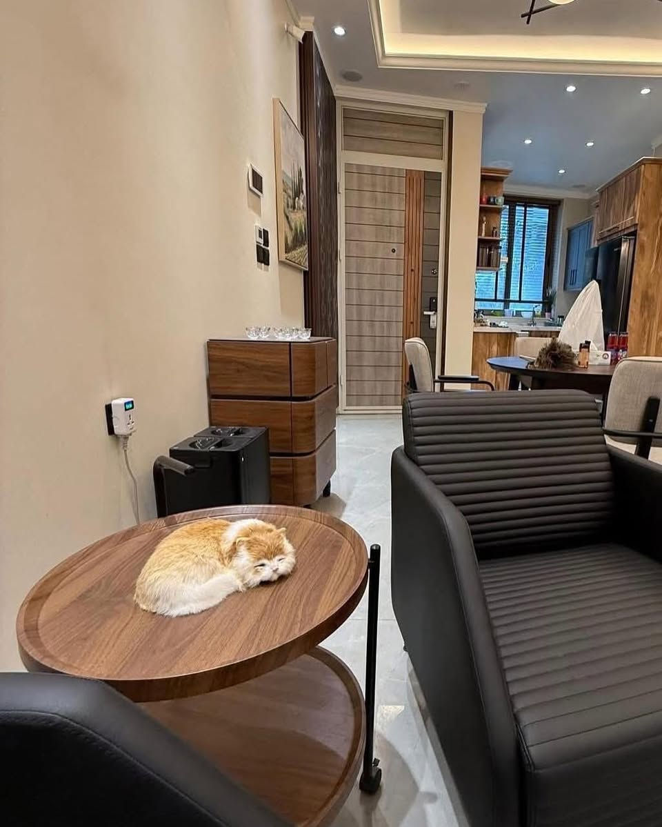 🏡شقة مؤثثة للبيع في العرصات🏡

✏️المساحة 90 متر✏️

✔️سند مستقل ✔️
~~~~~~~~~~~~~~~~~~~~~~~~~~~~~~~~
✨تتكون من غرف نوم عدد 2 صالة مطبخ مؤثثة بالكامل سبالت مركزية وبارك للسيارات✨

📍الموقع العرصات شارع السدة مباشر طابق ارضي 

⁉️للأستفسار الاتصال على الارقام ⁉️~~~~~~~~~~~~~~~~~~~~~~~~~~~~~~~~
📞***********📞 ***********📞

🏗️الرفاه للأستثمار والتسويق العقاري🏗️
