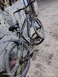 بايسكل • لا مصبوغ • محاويل أبو سديره