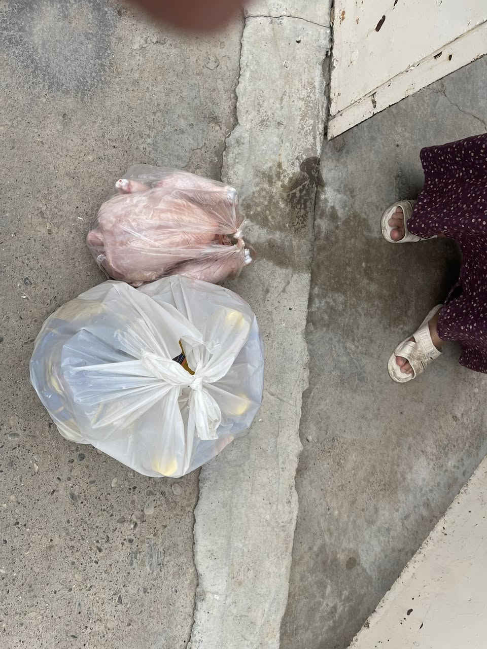 ❤️🤍پیاوێکی خێرخواز بەدرێژایی ڕەمەزان 
چەند سەبەتەیەکی خۆراکی دابین کردوە 

🤍دابەشکردنی ئەمانەتی خەڵکی بەخشندە❤️

الله بیکاتە مایەیی خێرو بەرەکەت بۆژیانیان 
الله بەرەکەت بخاتە ماڵ وسامانیان
الله بەدوریان بکات لەدەردو بەڵا

اللهم امین یارب العالیمین🤲🏻

***********
FIB- fastpay
