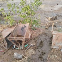 عربيان ونج • بدون تواير • الناصرية الغراف