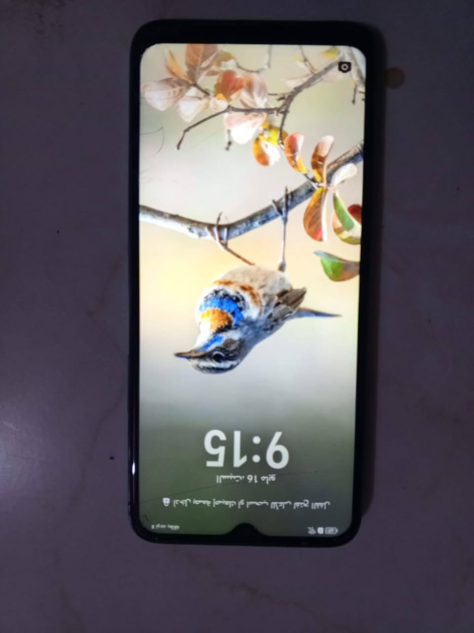 السلام عليكم جهاز HONOR X6 للبيع الذاكرة 128مبدل شاشه الوكالة اصلية من الشركة نظيف السعر
75الف دينار وبي مجال مكاني الكوت حي الجوادين كبال نزلت السياسيين


**إذا كنت صاحب هذا الإعلان وتريد حذفه لأي سبب، رجاءا أرسل رسالة إلى الدعم الفني**