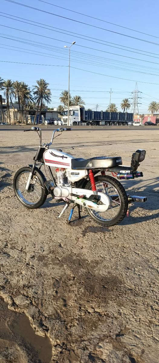 مراوس بسوفاني او سكنس جبلي


**إذا كنت صاحب هذا الإعلان وتريد حذفه لأي سبب، رجاءا أرسل رسالة إلى الدعم الفني**