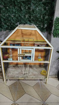 قفاص طيور • نضيفات • خشب و حديد