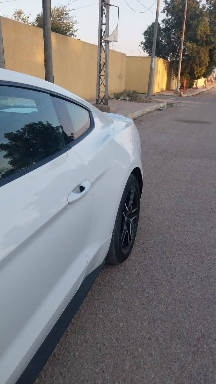 موستنك مديل ٢٣   تيربو  ٤سرندر حادثهه
جاملغ وبنيد وباب وجاملغ خلفي يعني ٤ قطع صبغ بيهه 
صار     بسمي  داخله  تترقم اي محافظه 
مكاني كوت سعر ١٢٥ بدون رقم عادي مراوس
*********** دهل اوران, واسط
