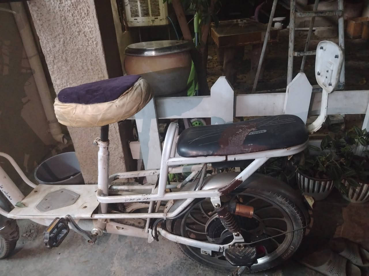 50 الف حسن بغدادي  بطارية نص و نوص غيرهة بدون عيب


**إذا كنت صاحب هذا الإعلان وتريد حذفه لأي سبب، رجاءا أرسل رسالة إلى الدعم الفني**