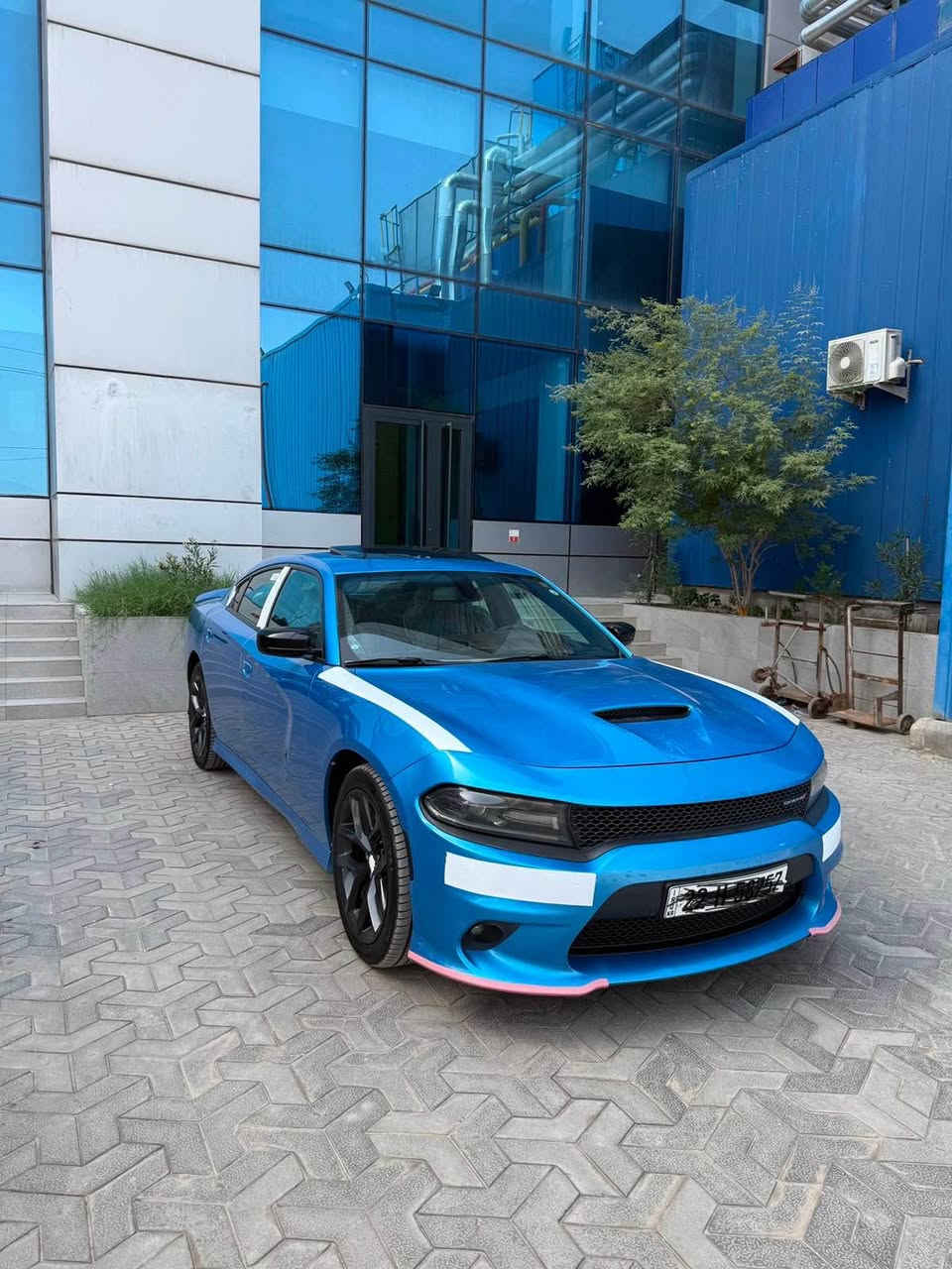 جارجر Gt خليجي شركة هارلم  مديل 2019

*********** البصرة, العراق
