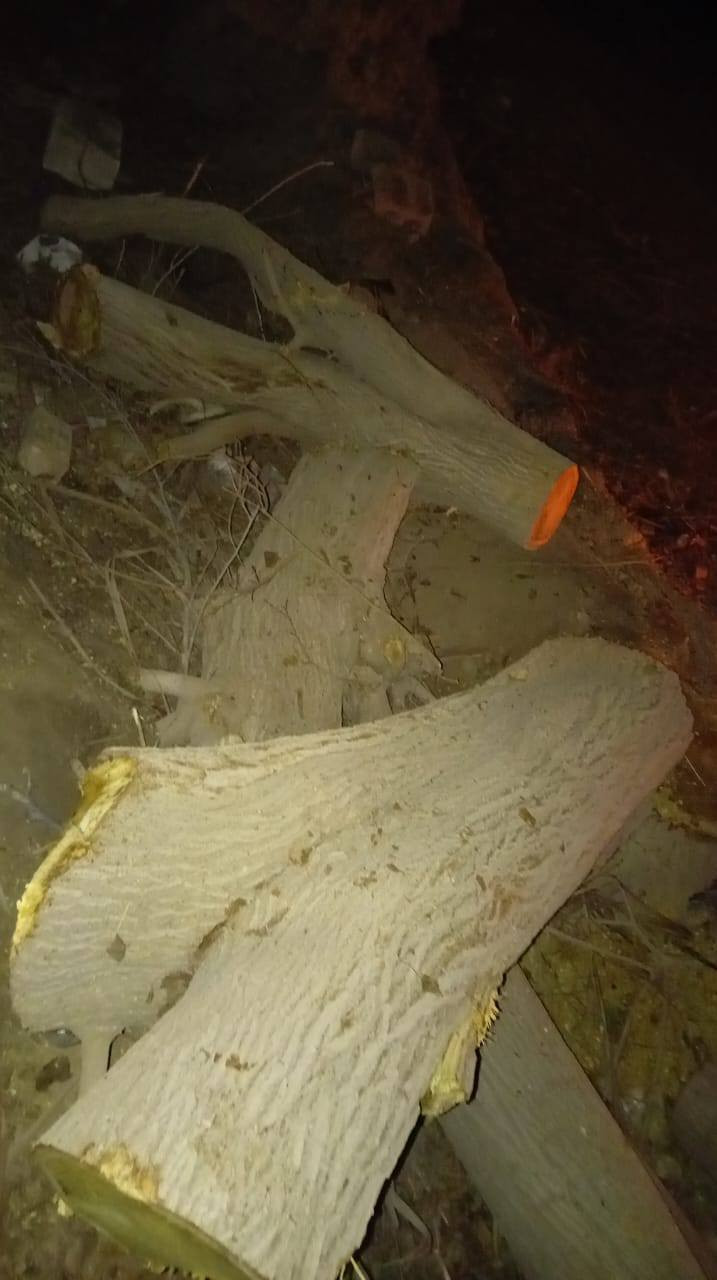 سلام عليكم عندي خشب مو شراي لا يتصل اخوان بيه سياره كامله مكان طلعيه قرب الإمام عون يرده يتصل ***********
