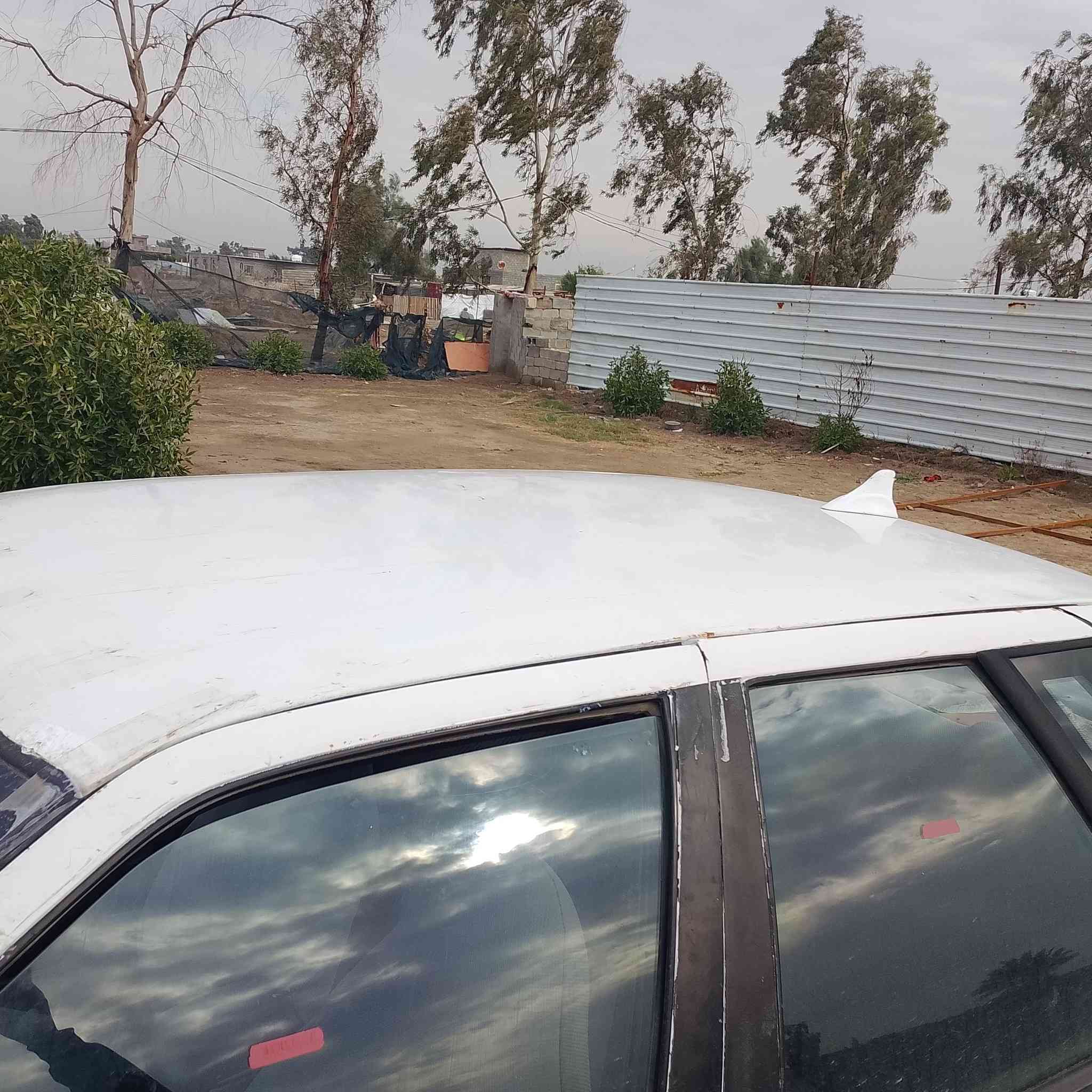 سلام عليكم سبروو البيع مكين وكير مكفلات صدر ممتاز والكشر كدم العين سعر 30 0750591413 مكني اليوسفيه قرب معمل  زينب شرع 4
