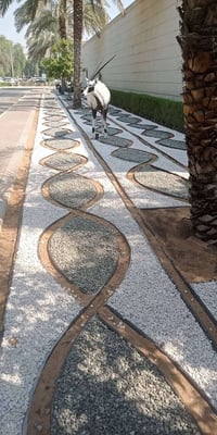 شغل ديكورات حصى مسابح سيراميك ديكورات 07892427064محمد ابو جنه