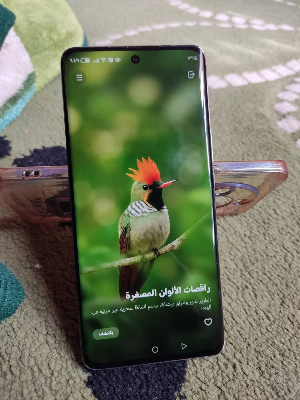 السلام عليكم جهاز للبيع هونر  x9b 5Gالجهاز نضيف بعده شركه ما مفتوح ذاكره 256 رام12 جهاز حيل نضيف السعر 225وبي مجال للطيبين ملاحظة الجهاز ويا شاحنه فقط ***********
