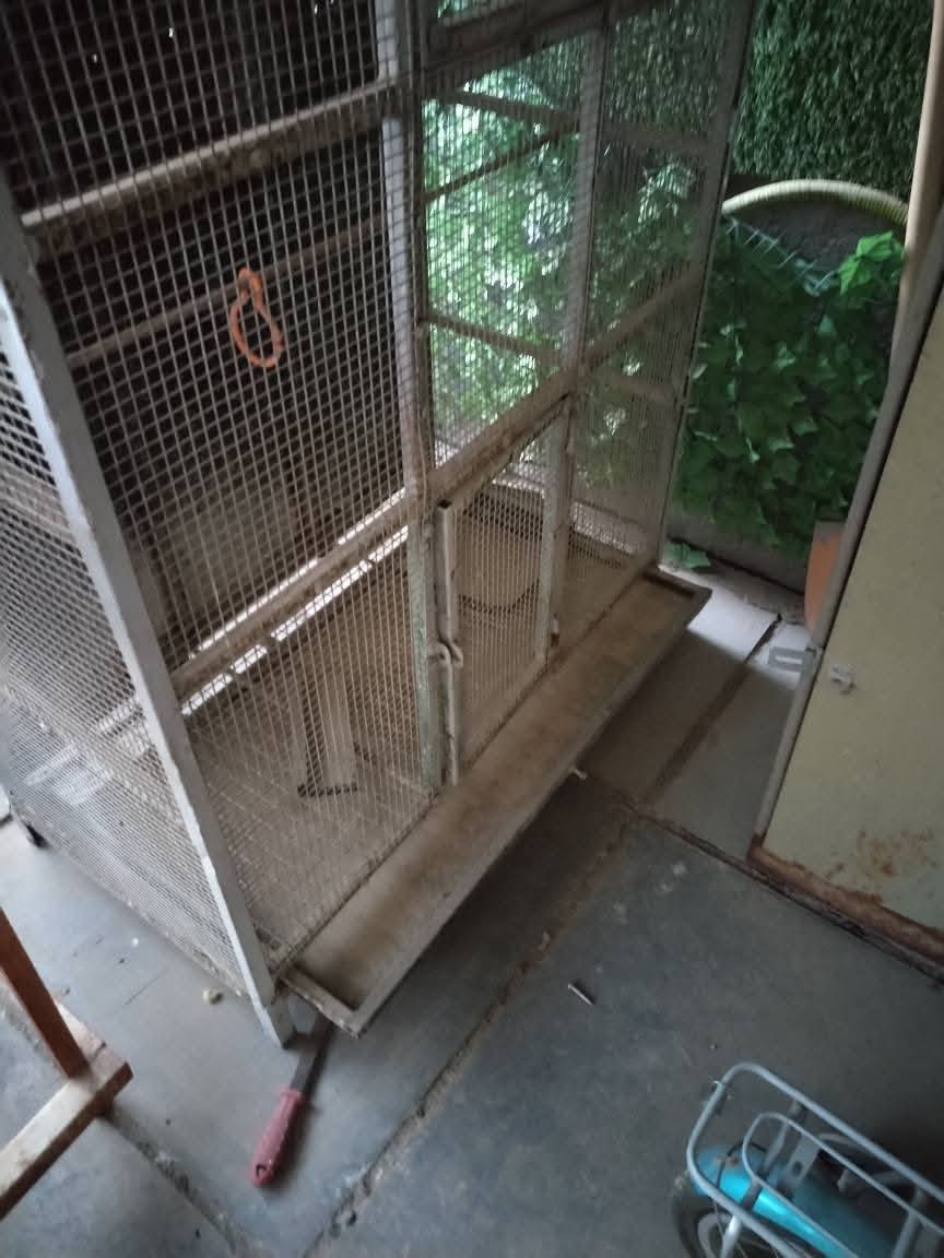 السلام عليكم اخوتي الاعزاء بيت طيور حديد شغل درجه اولى فول دبل باب جرارة تنظيف سقف خشب ديكور عرض متر وارتفاع مترين ونزال 50سم
المكان بغداد تقاطع درويش. التراث هاتف ***********
