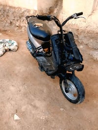 شغاله • هندر • مراوس