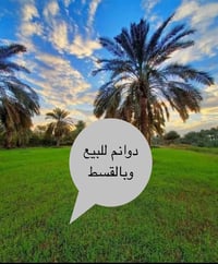أبو غريب • دونم • نصف دونم