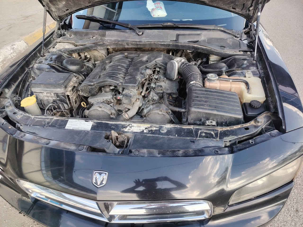 دوج جارجر 2008 بيهة قطع صبغ بسبب جراد طختة جاملغ خلف سايق كير محرك ضفيرة كله جديد تخم تاير وباتري قبل سبوع مشدودات صدر خلفي نص عمر فقط هذا نقصهة سيارة خير من الله وترايك وين ماتريد مكانهة كركوك السعر 100 ورقة للاستفسار الاتصال *********** كركوك, العراق
