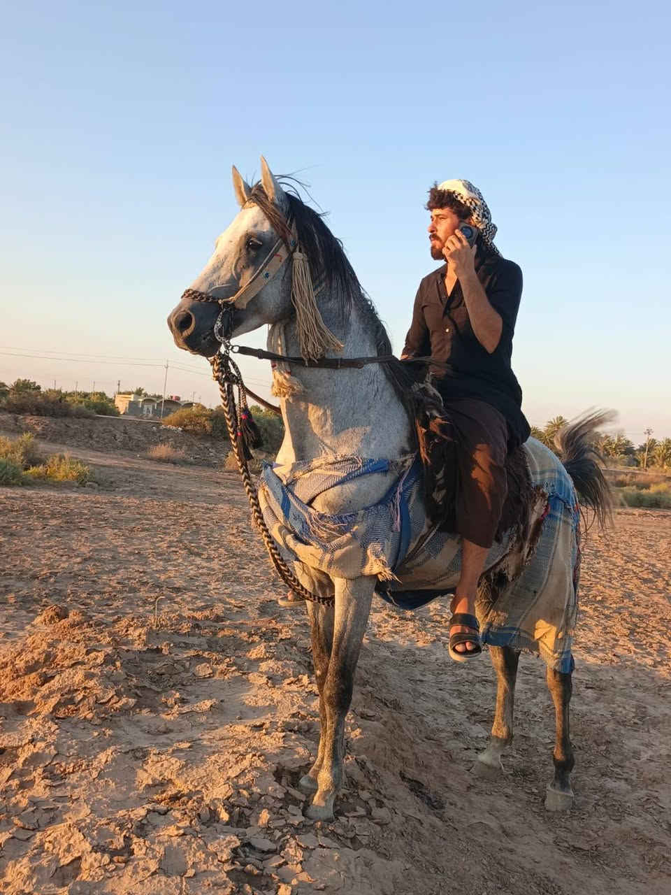 سلام عليكم خيالتنه حصان لبيع نيمان حض وبخت مال طراد اوخياله عمره ٦ رتفاعه ١٥٤ لبيع مراوس فرس حسب الاتفاق مكان ميسان تصال ***********
