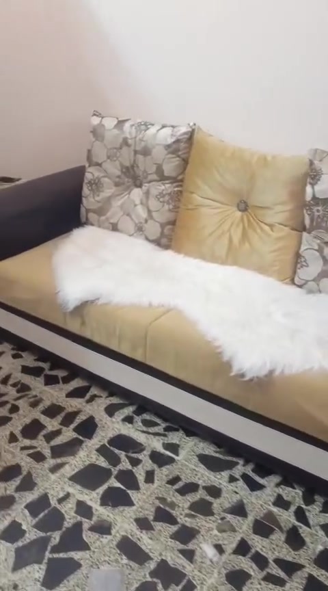 السلام عليكم 
تخم للبيع مستخدم بس كلش نظيف ونوعيته كلش زينة اخذته بمليون و100 واريده ب500


**إذا كنت صاحب هذا الإعلان وتريد حذفه لأي سبب، رجاءا أرسل رسالة إلى الدعم الفني**
