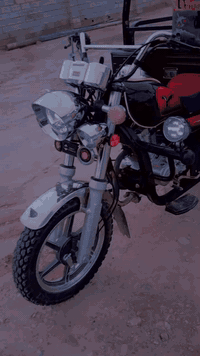 موديل 23 • اوراق كاملة • زيرو