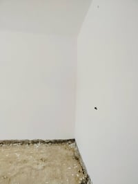 جص • يومية • ناصرية